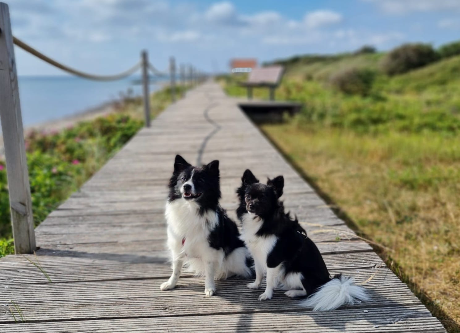 5er Paket Einzeltraining