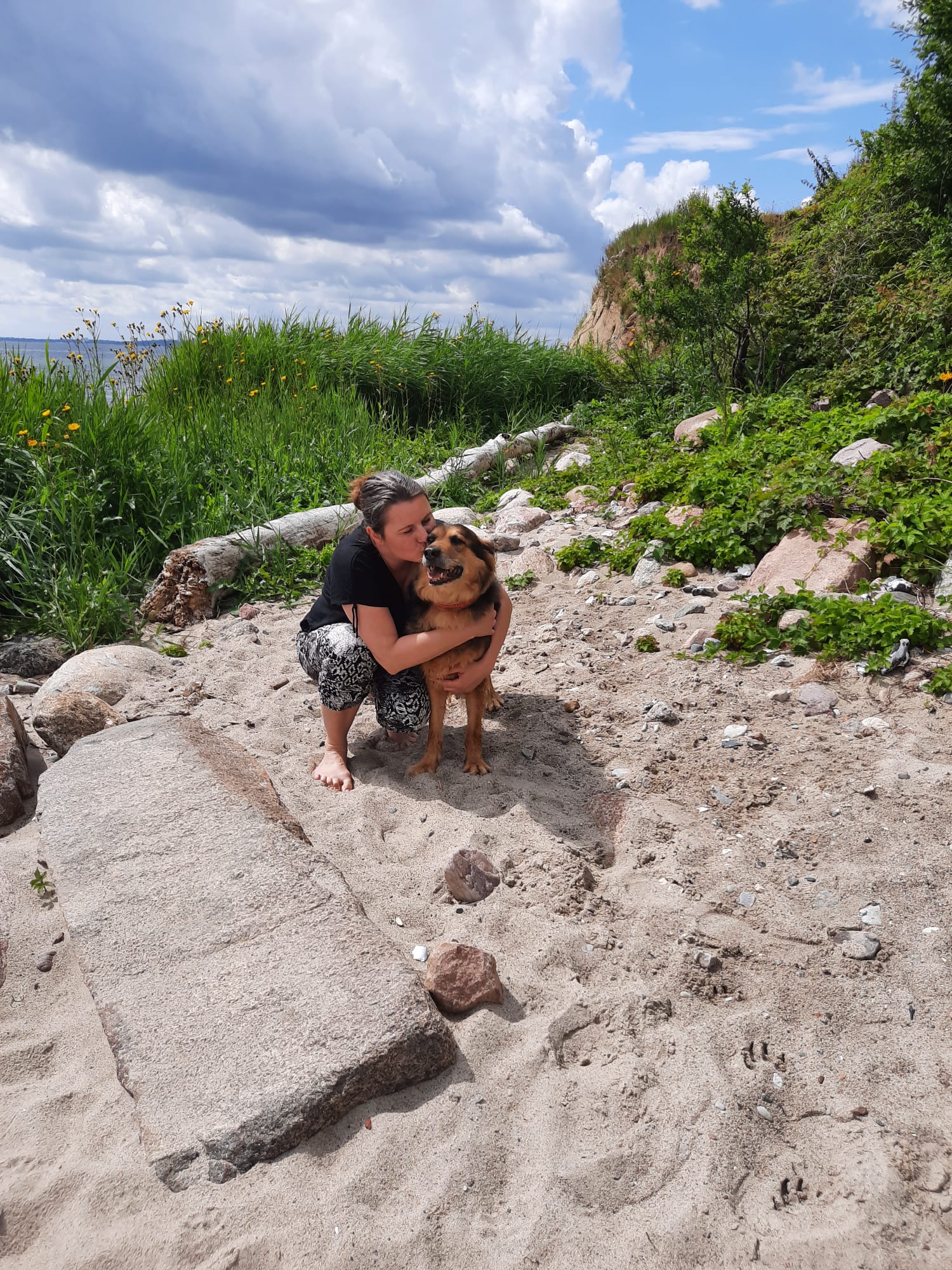 Sonderkonditionen Tierheimhund